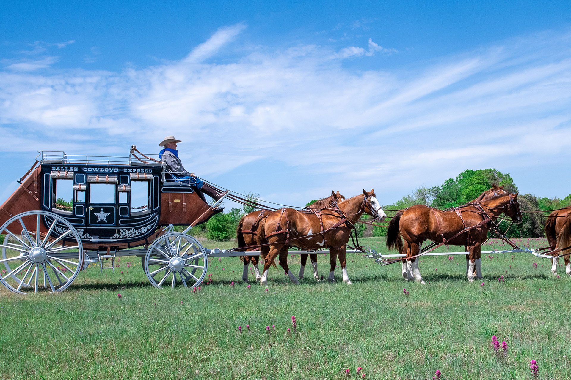 Dallas Cowboy's Concord Stagecoach
